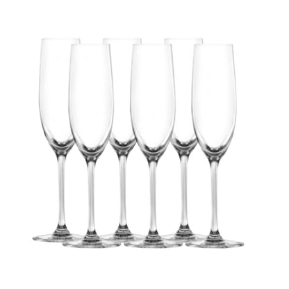Sontell Champagneglas 18 cl i 6-pack från Modern House